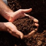 Hands holding high quality topsoil in Northern Virginia