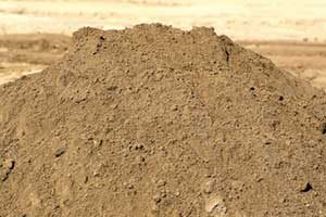 Fill Dirt