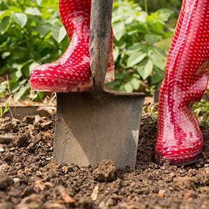 Woman digging in her garden using topsoil