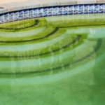 An outdoor residential pool that hasn't been well maintained and their owner has scheduled a Maryland pool removal contractor to remove it in the future to increase property value