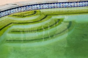 An outdoor residential pool that hasn't been well maintained and their owner has scheduled a Maryland pool removal contractor to remove it in the future to increase property value