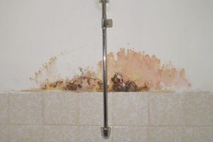 mold in a bathroom shower which obviously indicates the need for a bathroom remodel from an expert contractor