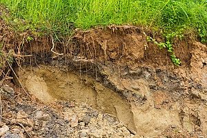 salut Bygge videre på Elendighed How Can I Use Fill Dirt to Limit Soil Erosion?