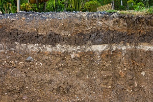 Different layers and types of dirt including Virginia fill dirt and topsoil