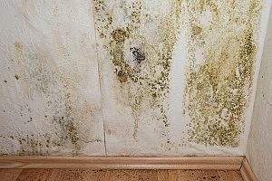 mold and mildew in the basement due to poor drainage during site grading
