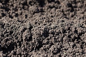 a large pile of topsoil that is held together by fill dirt to create a stable foundation for plants to grow