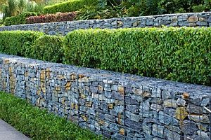 retaining walls containing bushes that are being supported by fill dirt