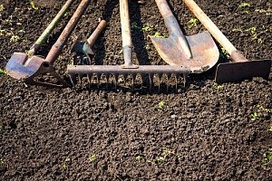 Using Fill Dirt To Level Backyards Dirt Connections