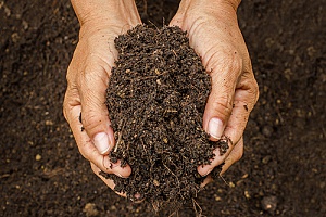 A handful of bio mix soil