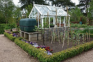 beautiful backyard greenhouse