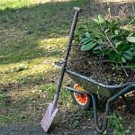wheelbarrow of dirt and plants for greenhouse