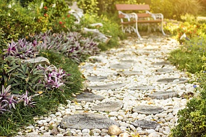 stone path in yard with pebbles