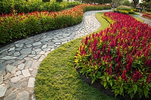 stone path walkway through a garden