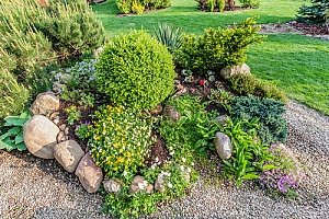a backyard project done by a homeowner who learned how to make a rock garden