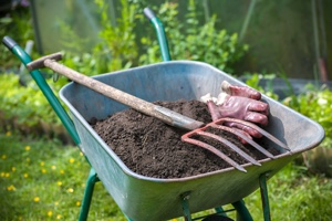topsoil in a wheelbarrow