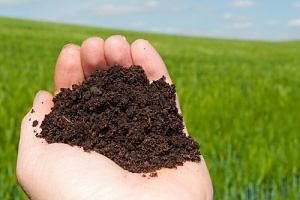 a person holding topsoil after prepare for topsoil delivery