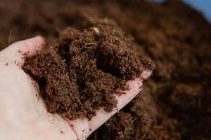 person holding a handful of bio mix soils