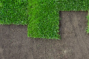Artificial Grass with Silica Sand