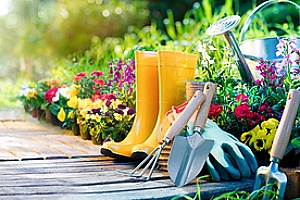 Rain Garden- Tools and Supplies
