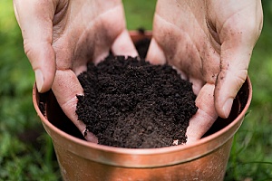 a homeowner who is learning how to store potting soil the right way