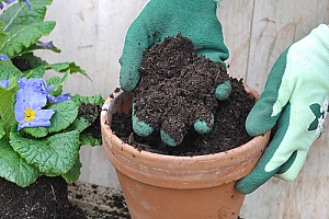 potting soil and other materials that are being put away for the winter