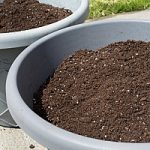 potting soil that is being stored for the winter
