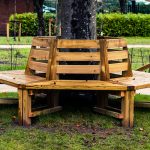 A new wooden bench built around a tree
