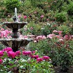 Outdoor fountain in beautiful garden