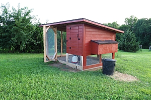 Red wood and metal chicken coop