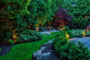 Beautiful garden and backyard pond by Dirt Connections