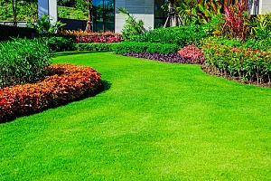 Healthy green lawn and garden
