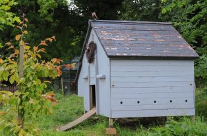 reliable and sturdy shed