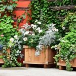 Planter boxes made of wood