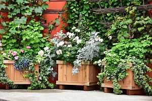 Planter boxes made of wood