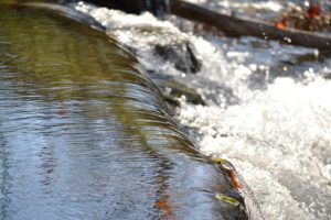Stormwater runoff can become a huge concern