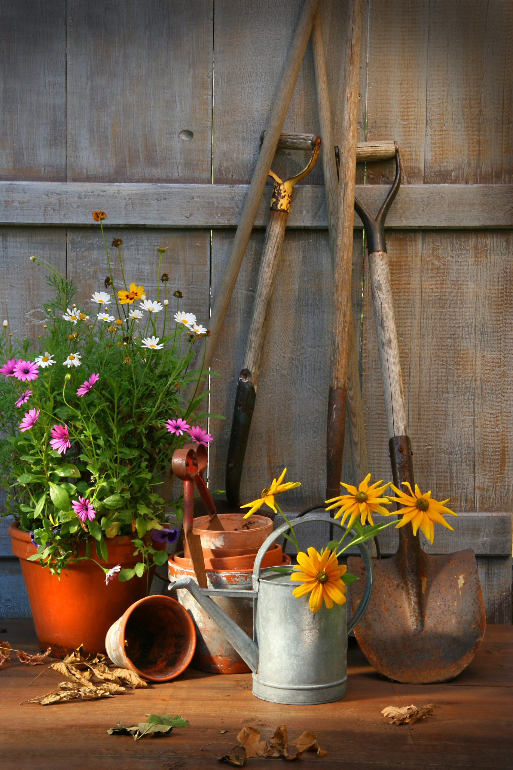 Garden shed with tools and flower pots