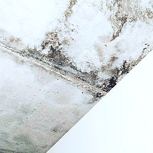 mold growing on wall unprotected by waterproofing