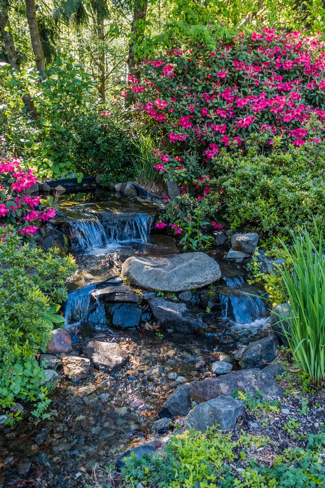 A beautiful garden for your peace of mind