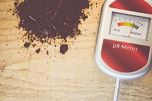 dirt and a ph meter on the ground which is used to determine the ph of acidic soil