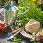 gardening tips by Dirt Connections