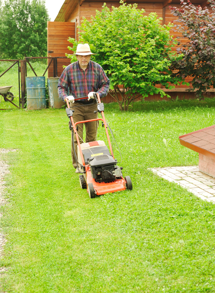 mowing the grass is great for your garden and your health