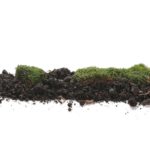 Green moss and pile dirt depicting types of fill dirt