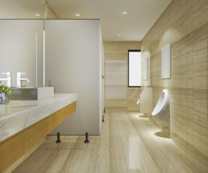 commercial bathroom project
