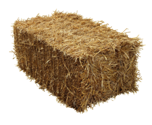 use straw with your grass seed