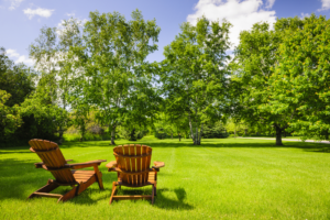 your newly landscaped backyard, beautiful