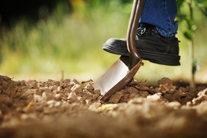 digging spring soil with shovel