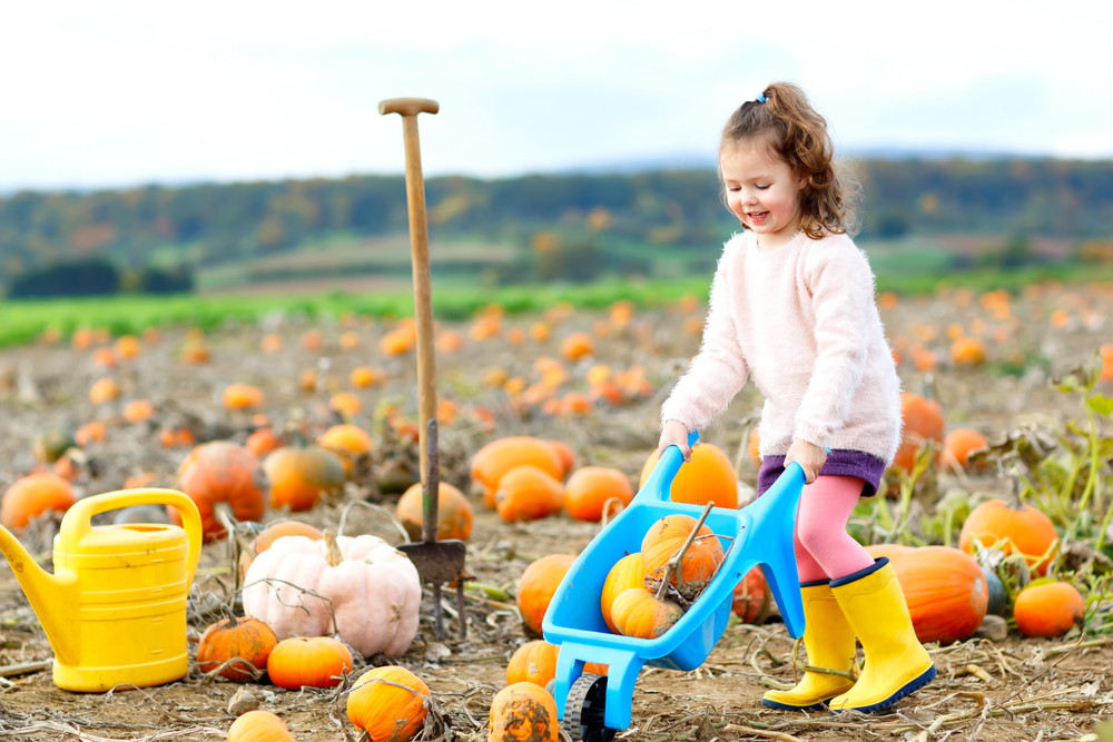 fall gardening with the little ones