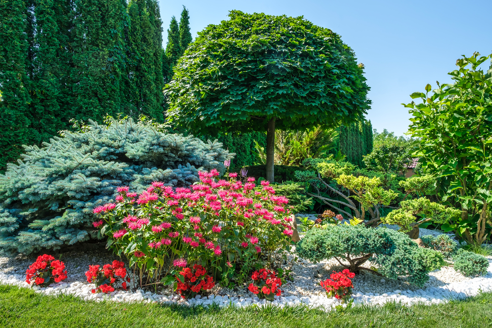 your hard work makes for a beautiful fall garden of flowers