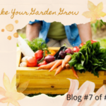 gardening crops in the fall