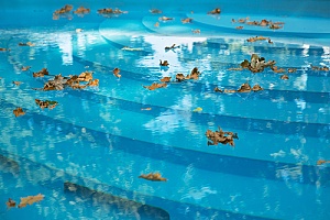 leaves in a pool that will be removed in the fall